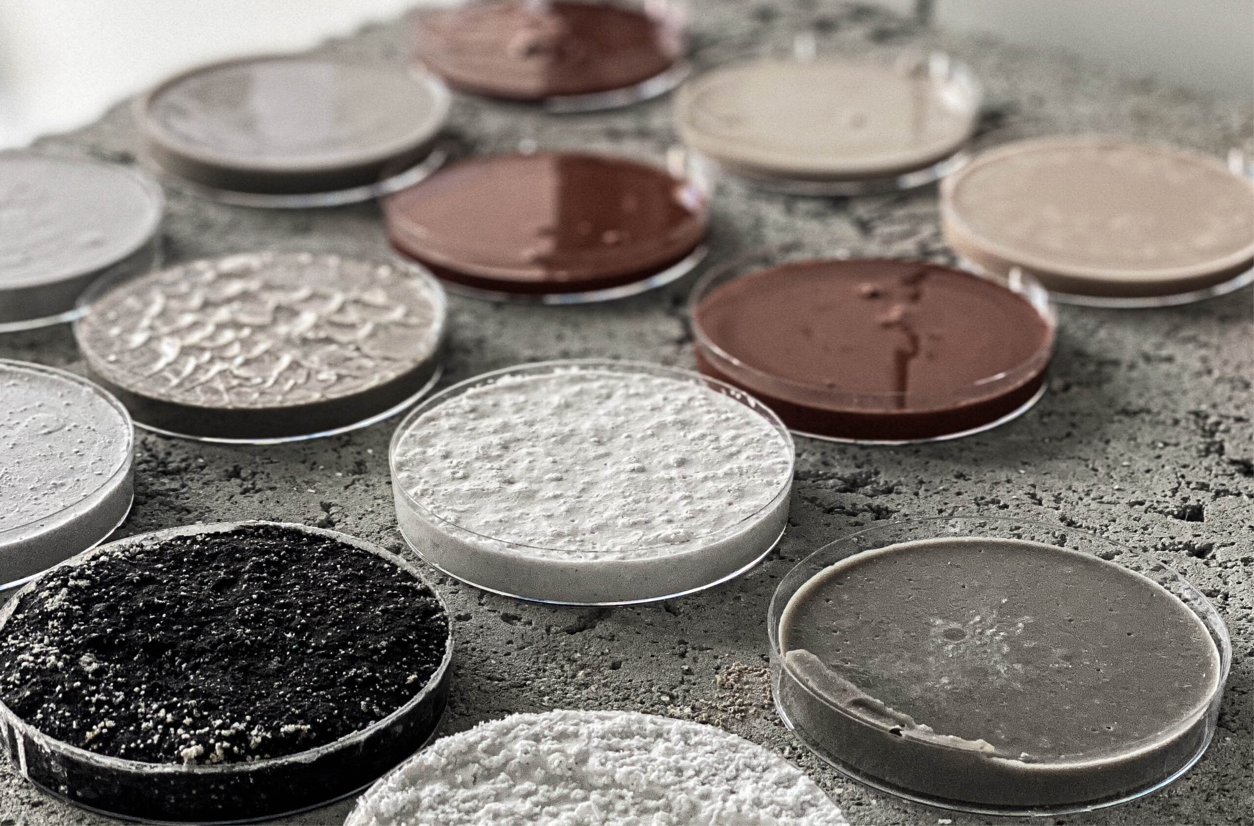 Material Perspectives – Towards Bioregionalism in the Oberpfalz